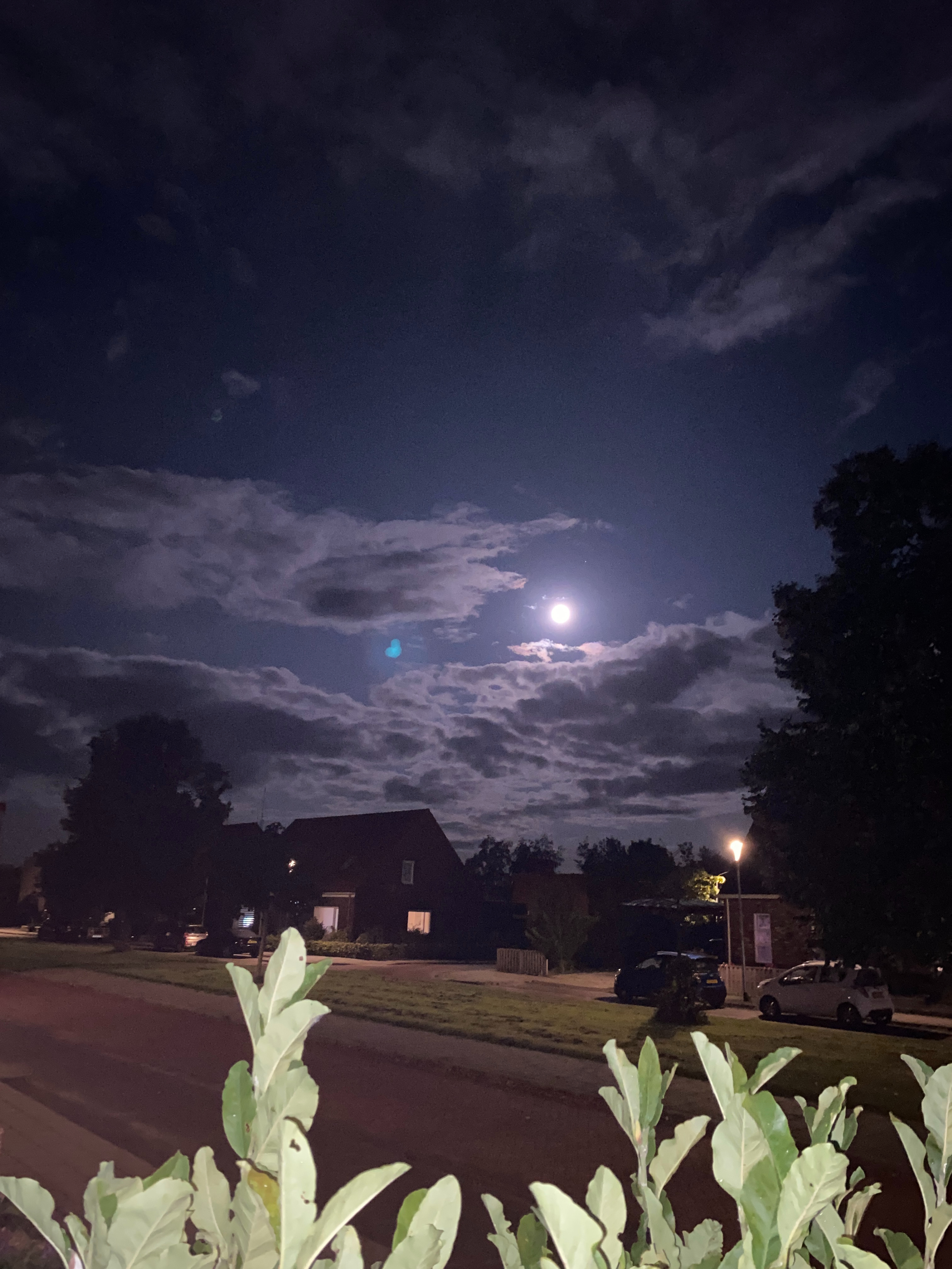 Blauwe maan
