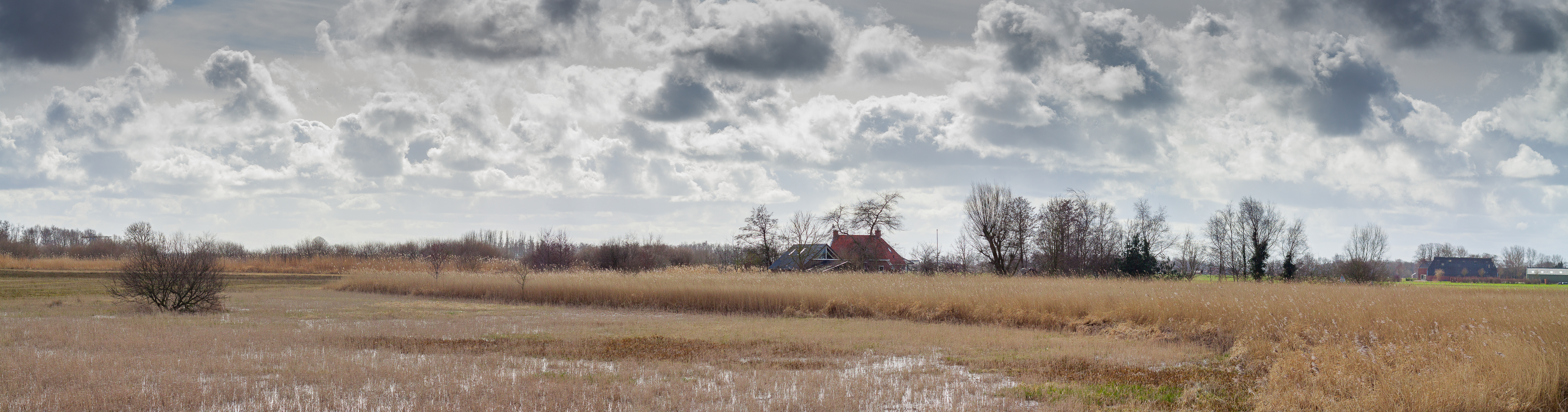 IMG_8467-Pano