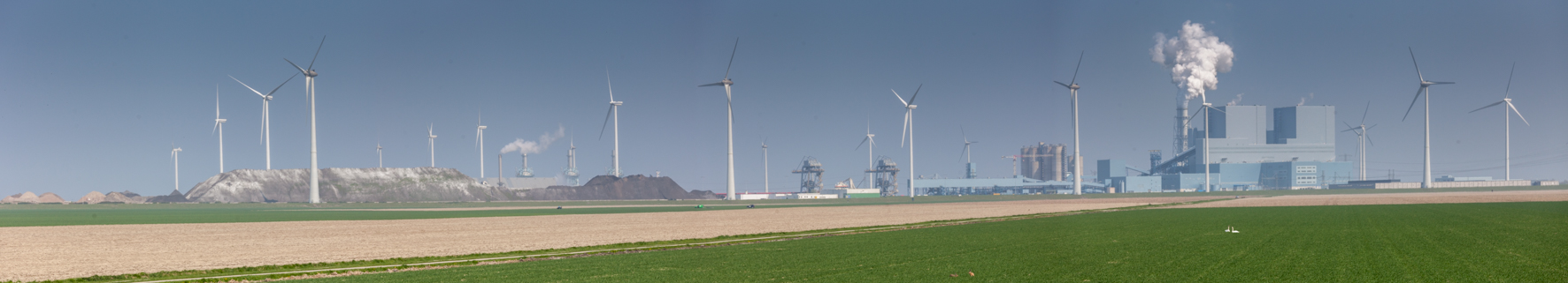 _MG_1438-Pano