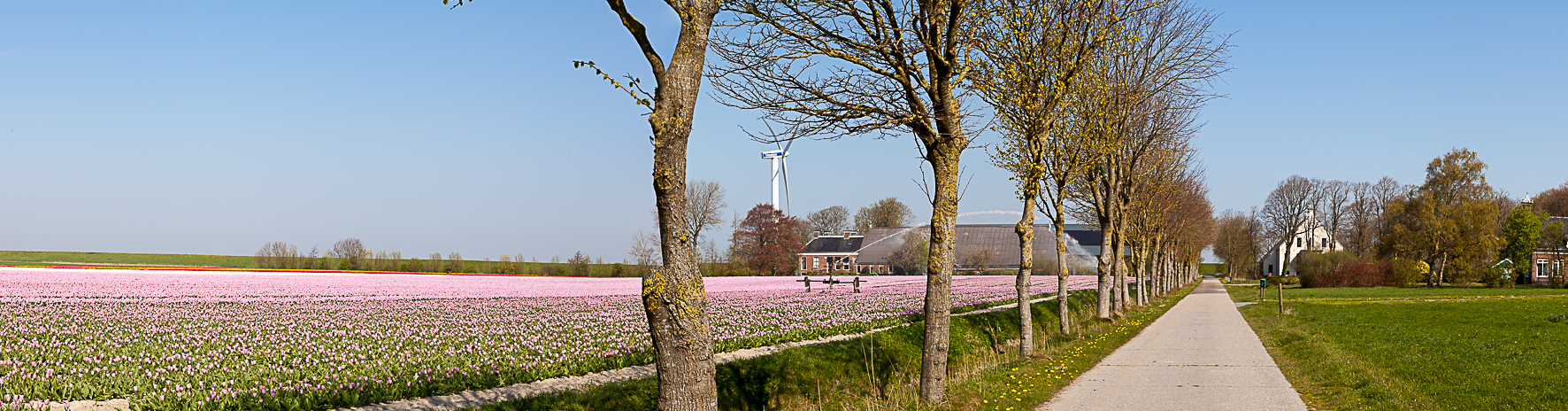 _MG_4168-Pano