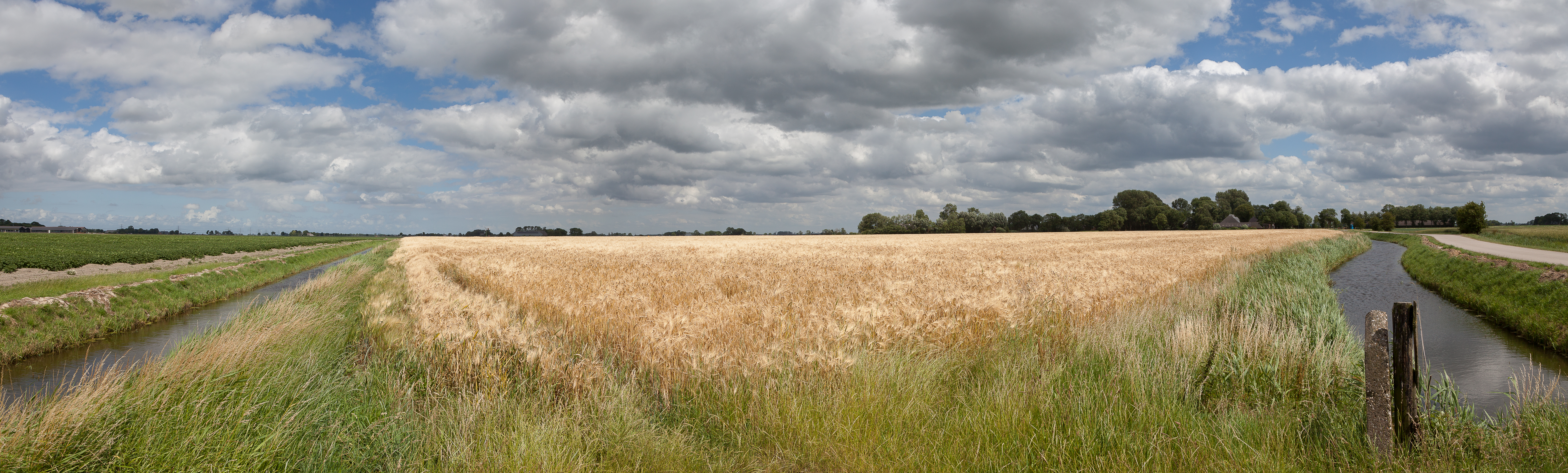 _MG_4784-Pano