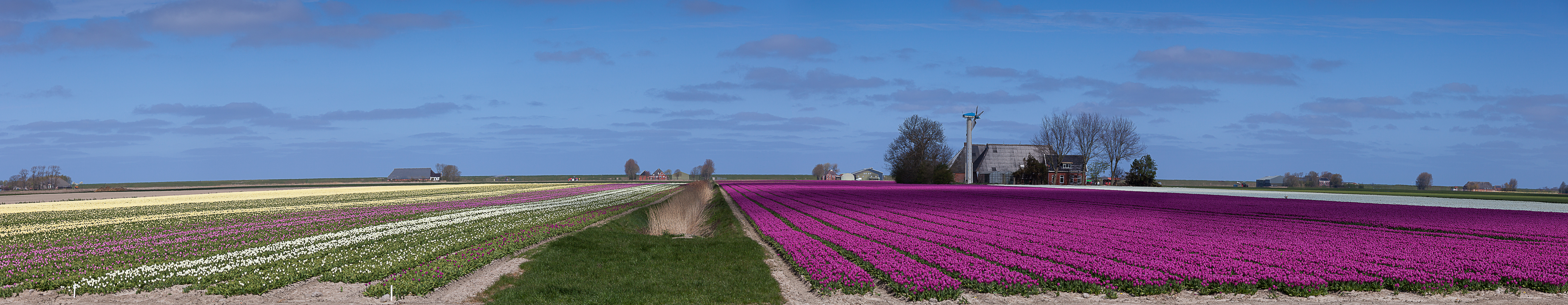 _MG_6254-Pano-2