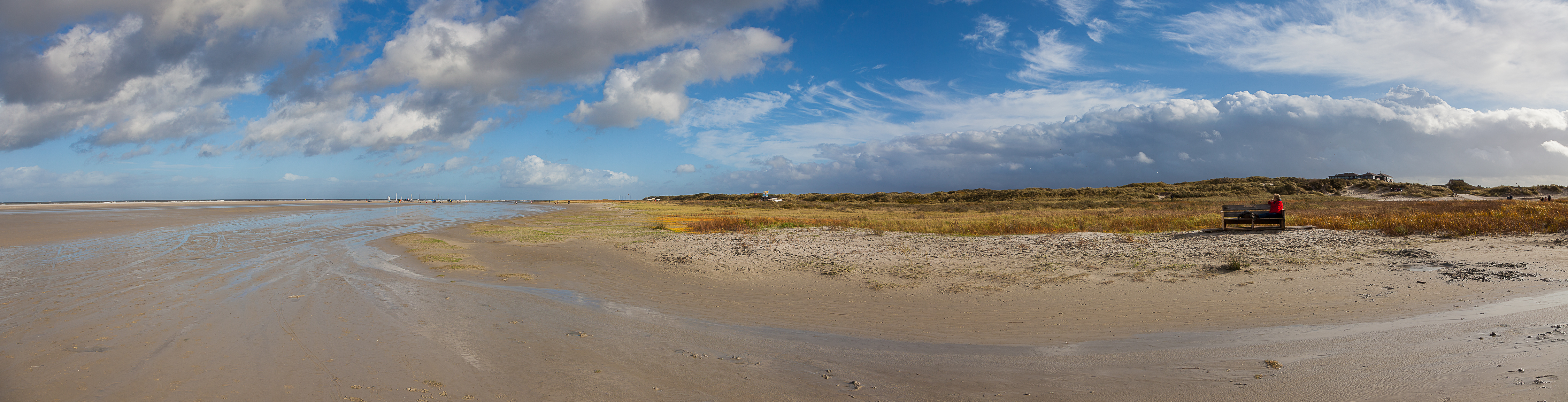 _MG_7355-Pano