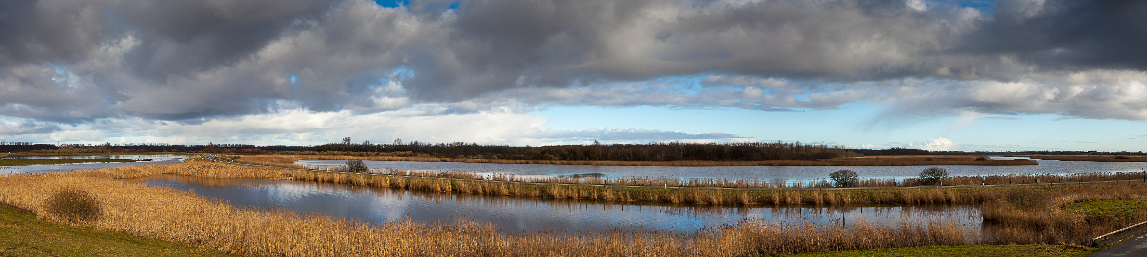 _MG_7613-Pano