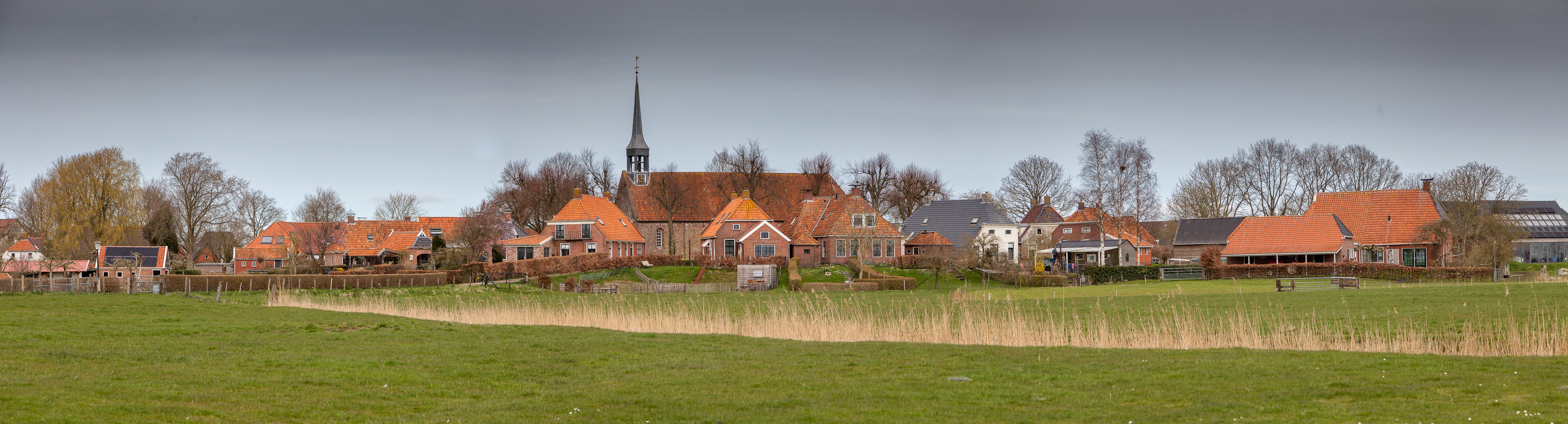 _MG_7953-Pano