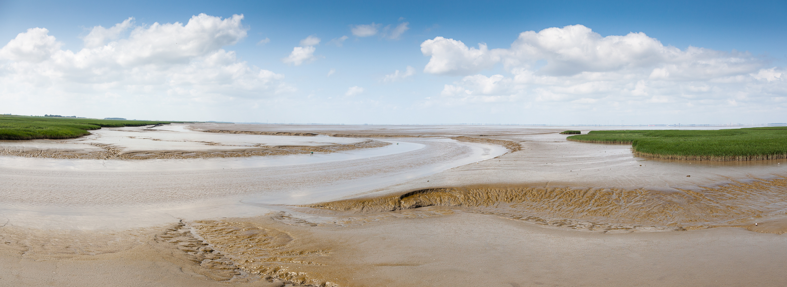 _MG_8808-Pano