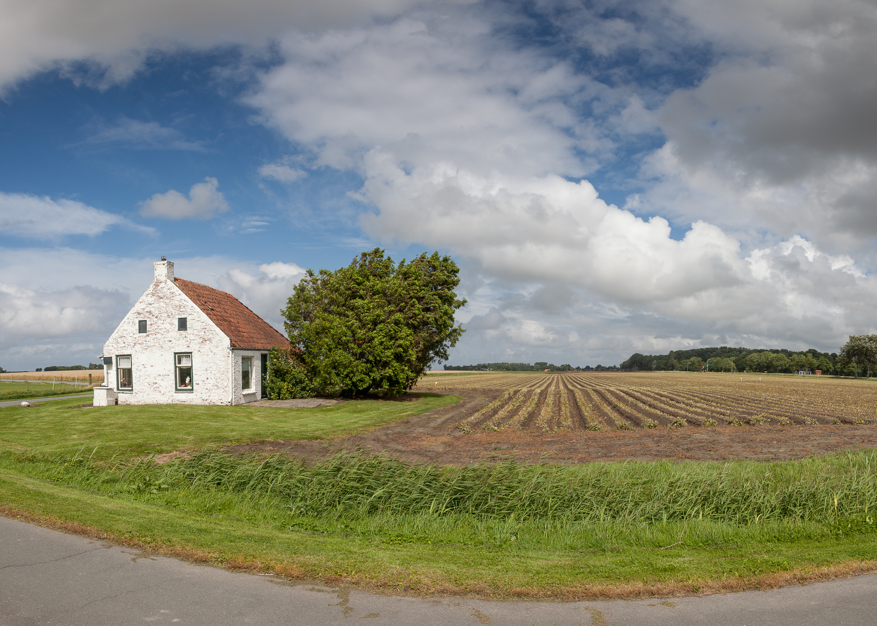 _MG_8906-Pano