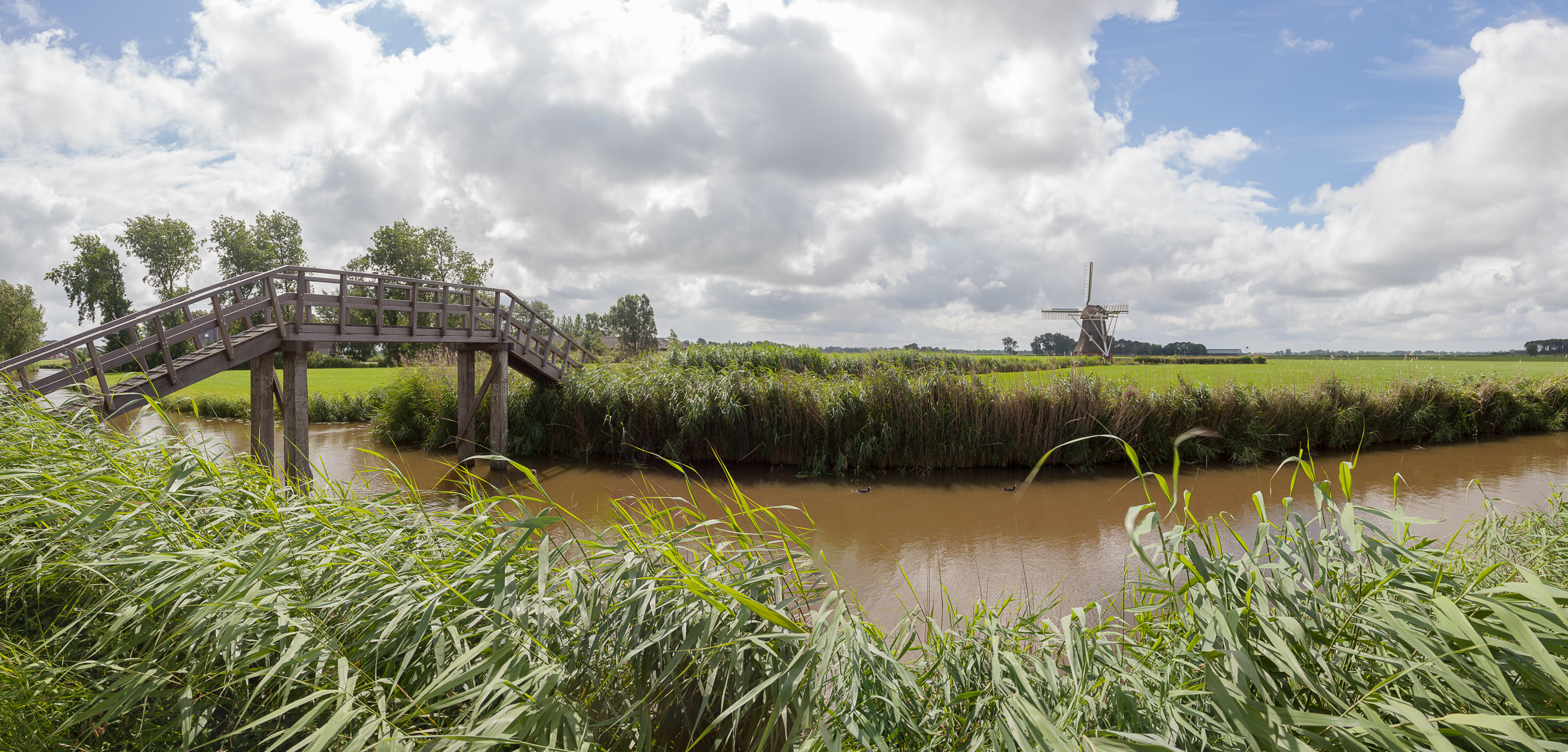 _MG_8919-Pano